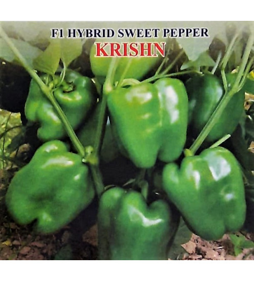 Capsicum F1 Iris Krishn 10 grams